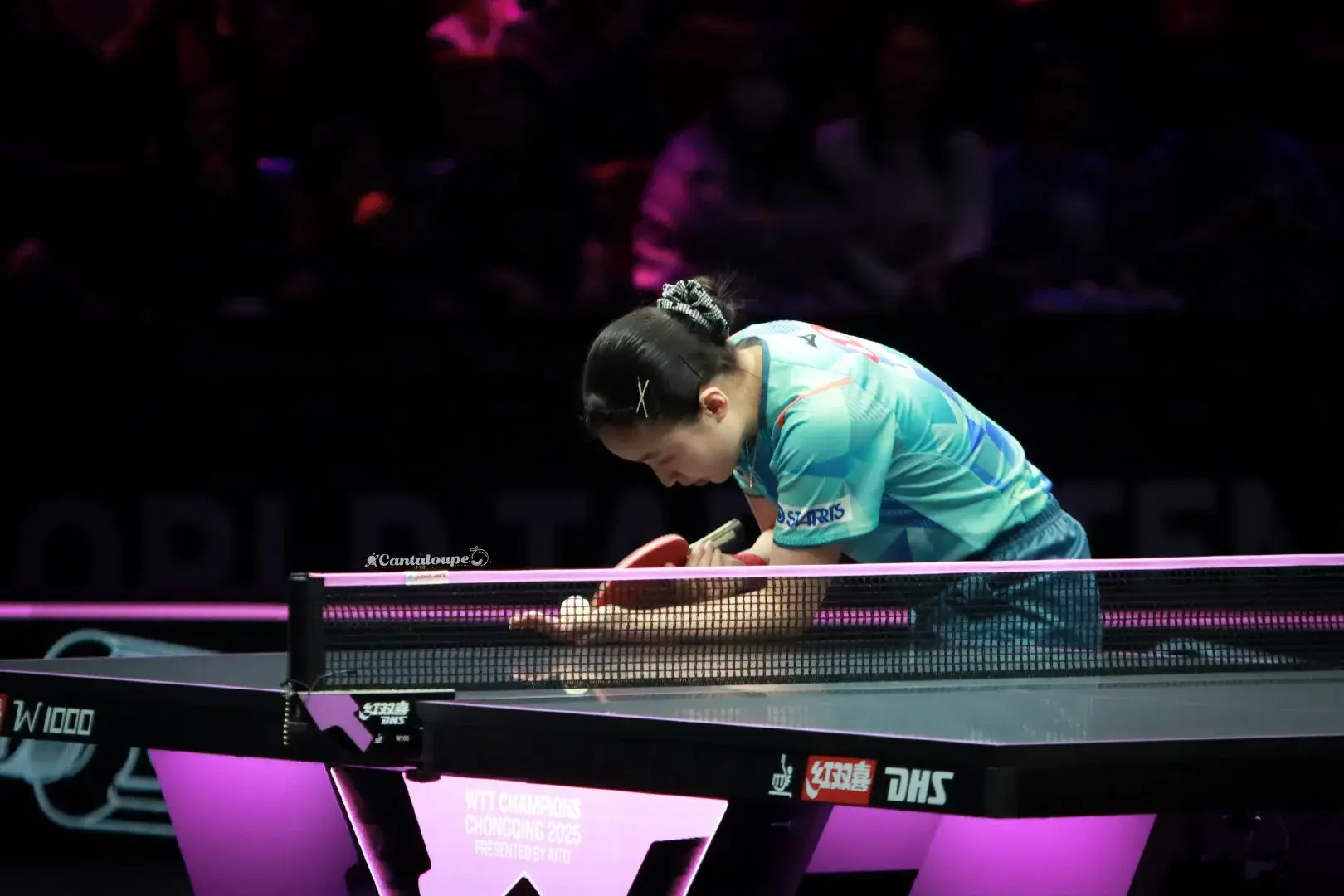 萨马拉在整, 早田希娜将